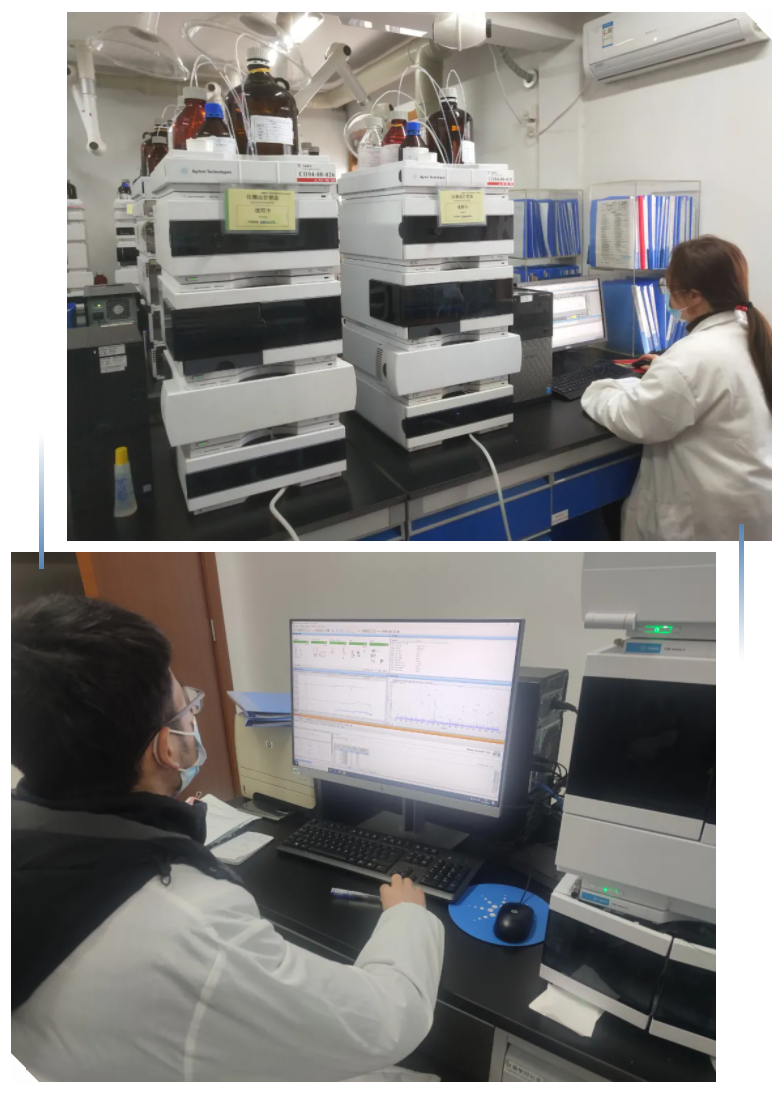 ag亚娱集团·(中国)官方网站